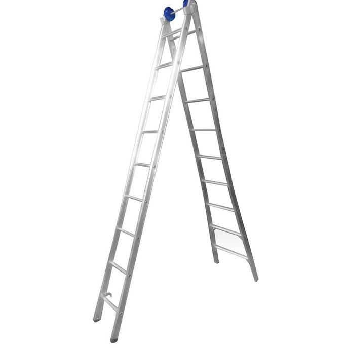 55450_9599